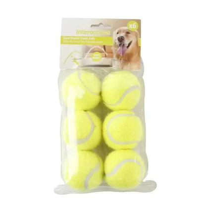 Automatic Dog Ball Launcher with Food Reward